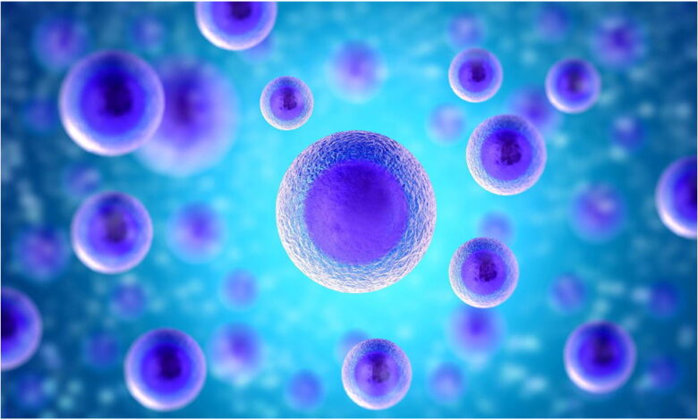 Primary Cells Market Size, Share, Growth Report 2030